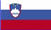 Project Description in Slovenian Project Description in Slovenian